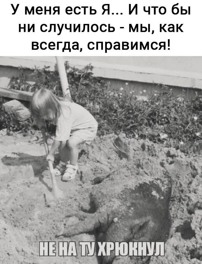 IMG-c18b9a1404e90acd483b946a4b675638-V.webp