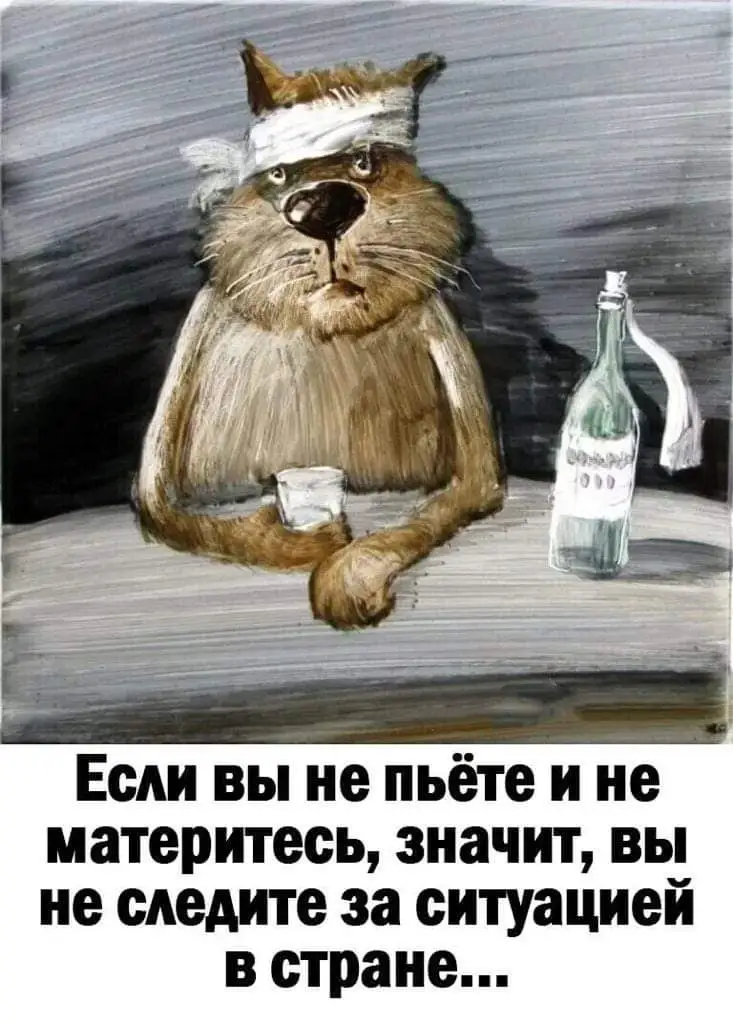 IMG-c18ca971d3112cf4b053458fdd9abf56-V.webp