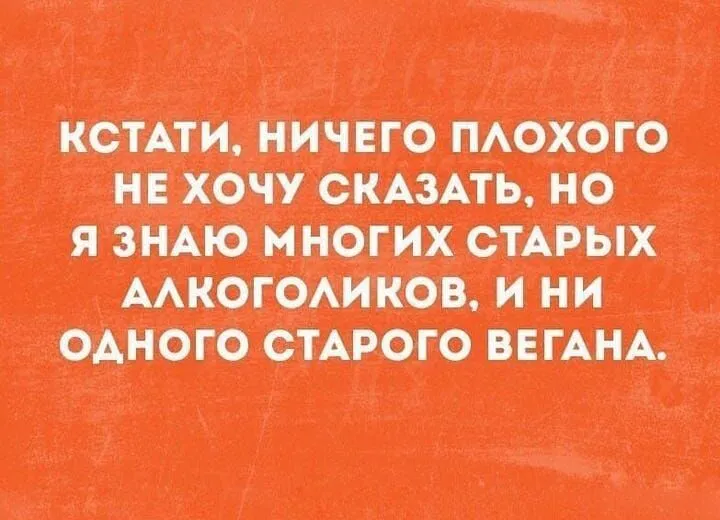 IMG-c1b6c8cd5c3bdf0eddb4d4f7f5e0149a-V.webp