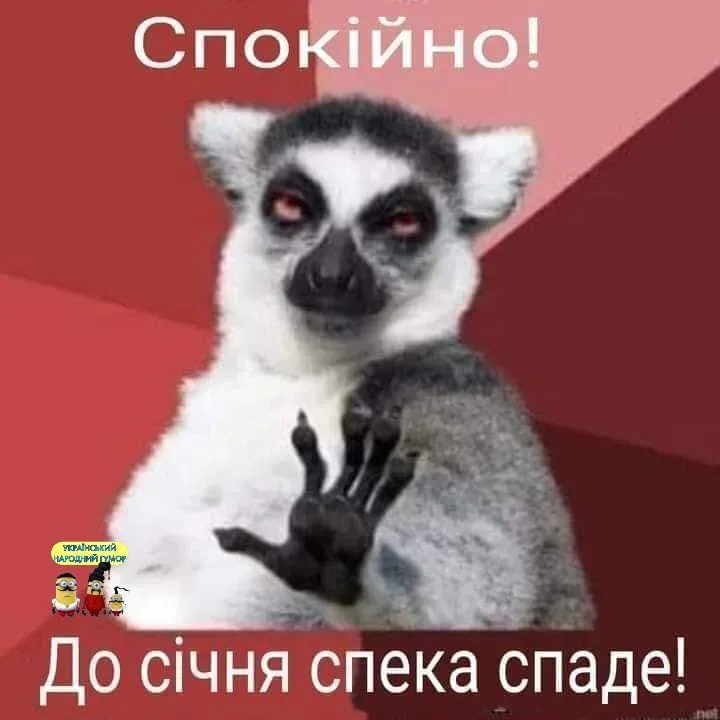 IMG-c1d08a366d3736a1dd9fc2cc6bee8b05-V.webp