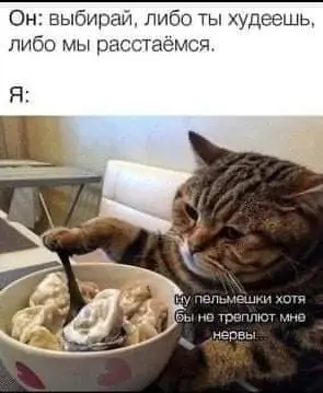 IMG-c22b5d8ecef86b2d559a5f8335abb40d-V.webp