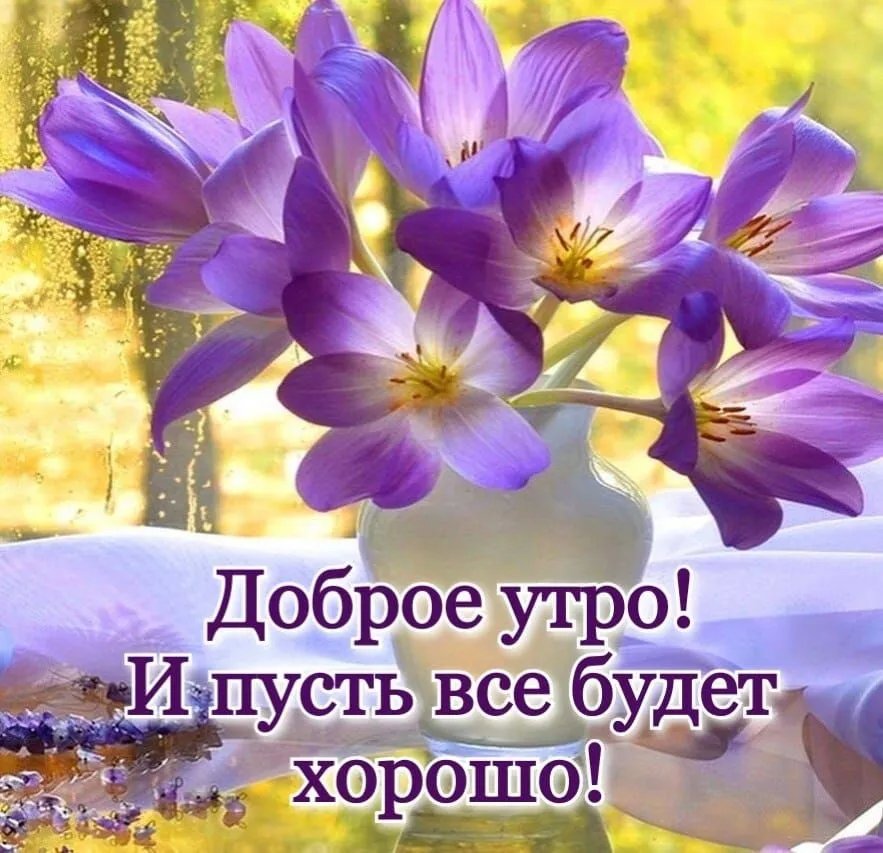 IMG-c26c31bf92d234e4845eccbf563e81ba-V.webp