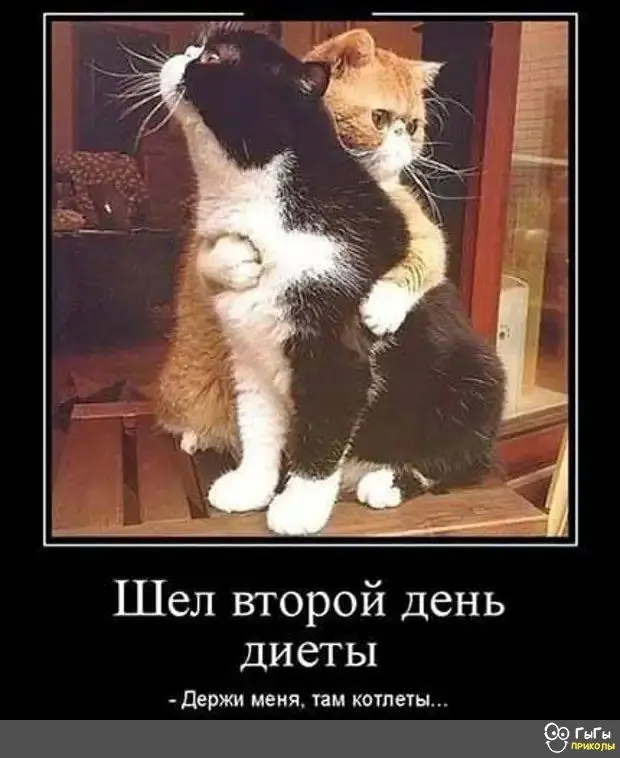 IMG-c2f3679fb3ece5d1065523c28cda112a-V.webp