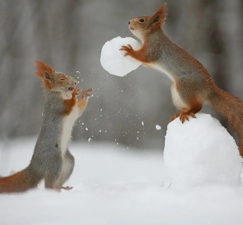 IMG-c30d038d350d9c64b4c37368820cbcf9-V.webp