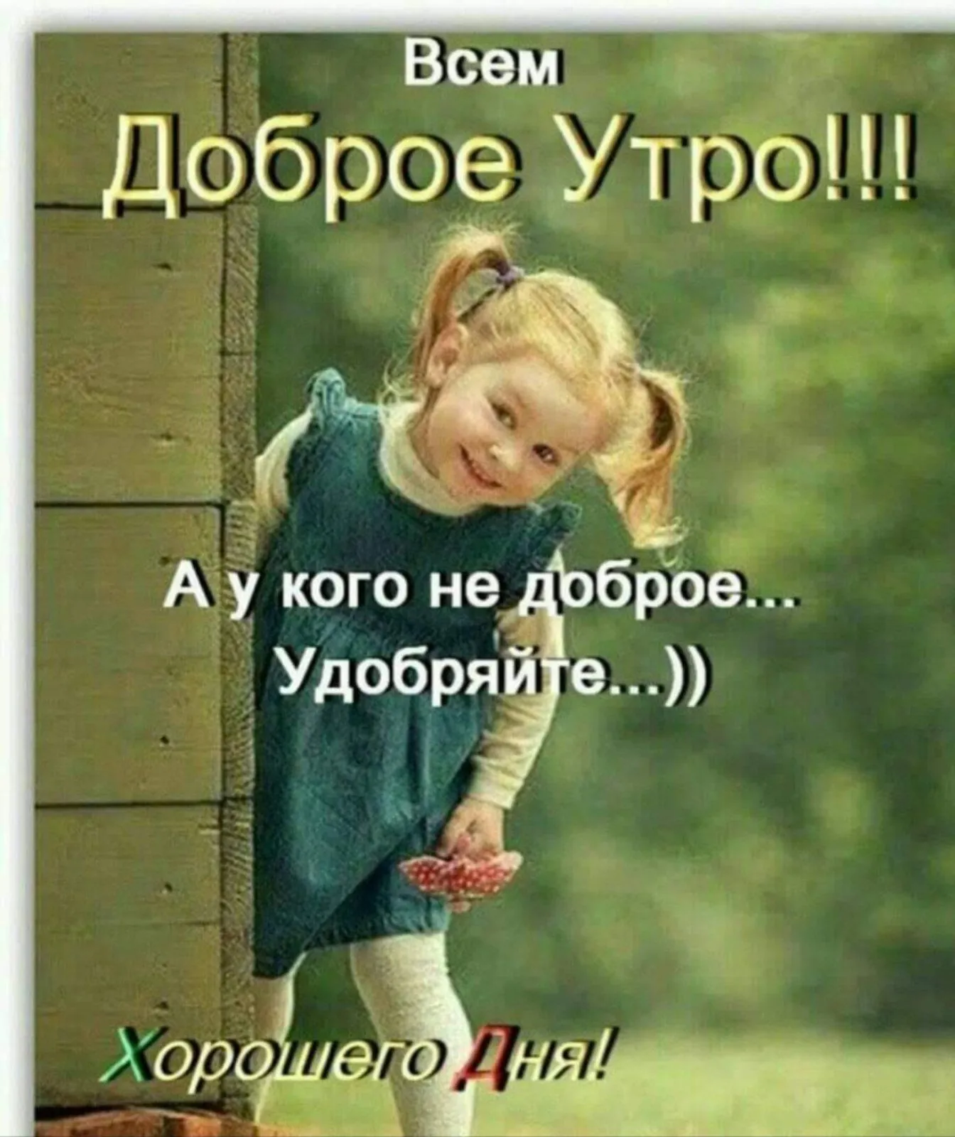 IMG-c337295febbe06cc6fda43b142a03c75-V.webp