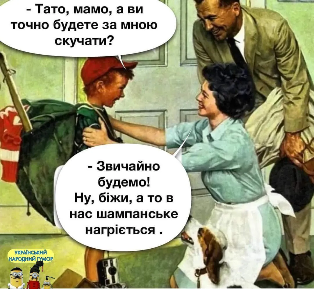 IMG-c35534272f8914555886220249677f1b-V.webp