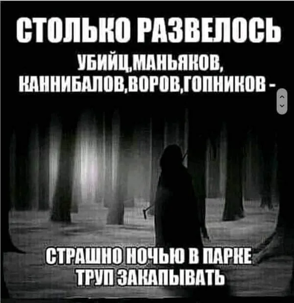 IMG-c4d8222803ad6f3a8b977abed4e04f31-V.webp