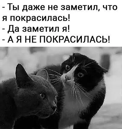 IMG-c511a1a02dfde683563609465b522f4d-V.webp