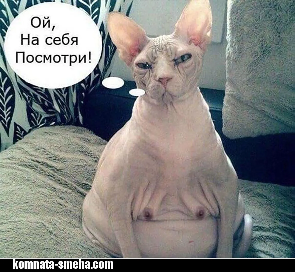 IMG-c5406ed39ef526665a3a66addb5d3978-V.webp