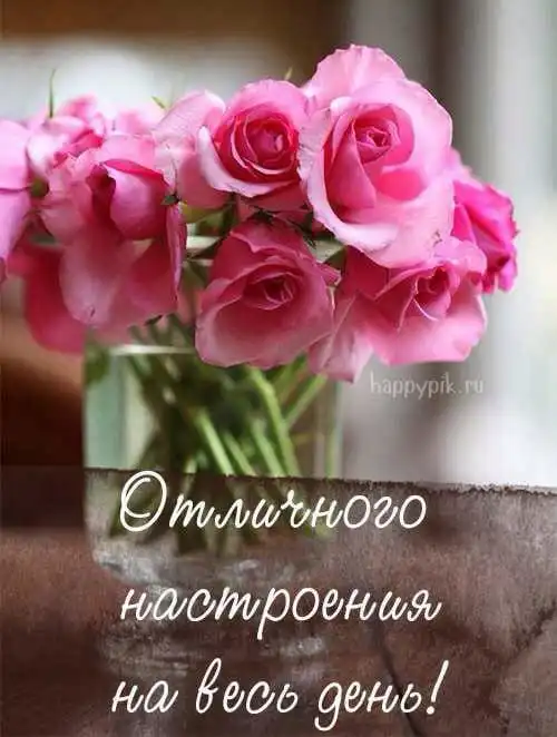 IMG-c5db321d235de291428bbedbfb08dc73-V.webp