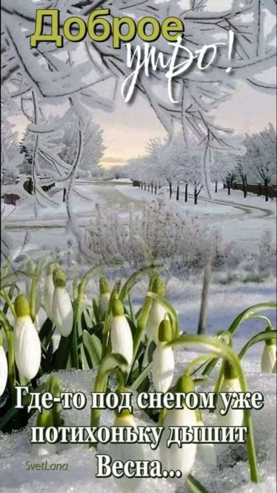 IMG-c72b5132d8356921cfc16428f941d3d1-V.webp