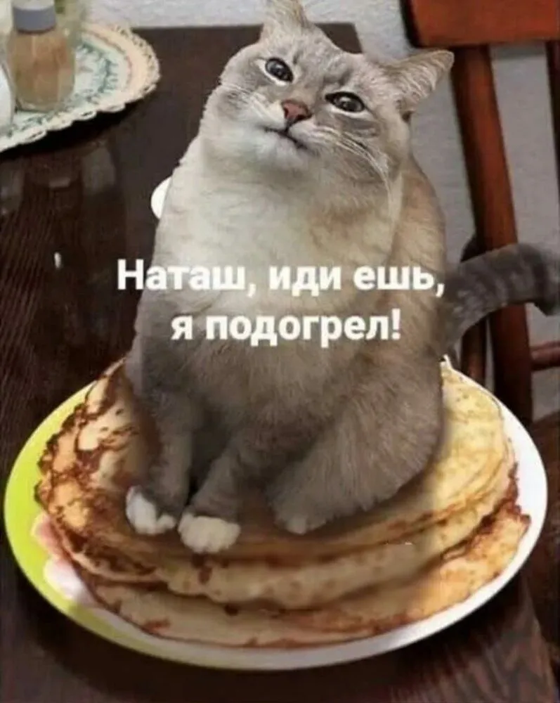 IMG-c790f85084d5f182e575b9fbb7a2d792-V.webp