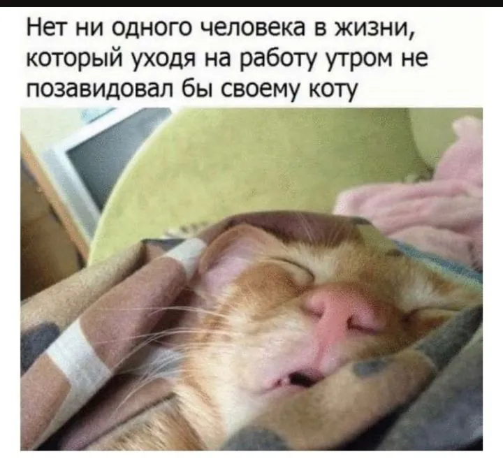 IMG-c8be0253eae701f5b1d1433cdc551737-V.webp