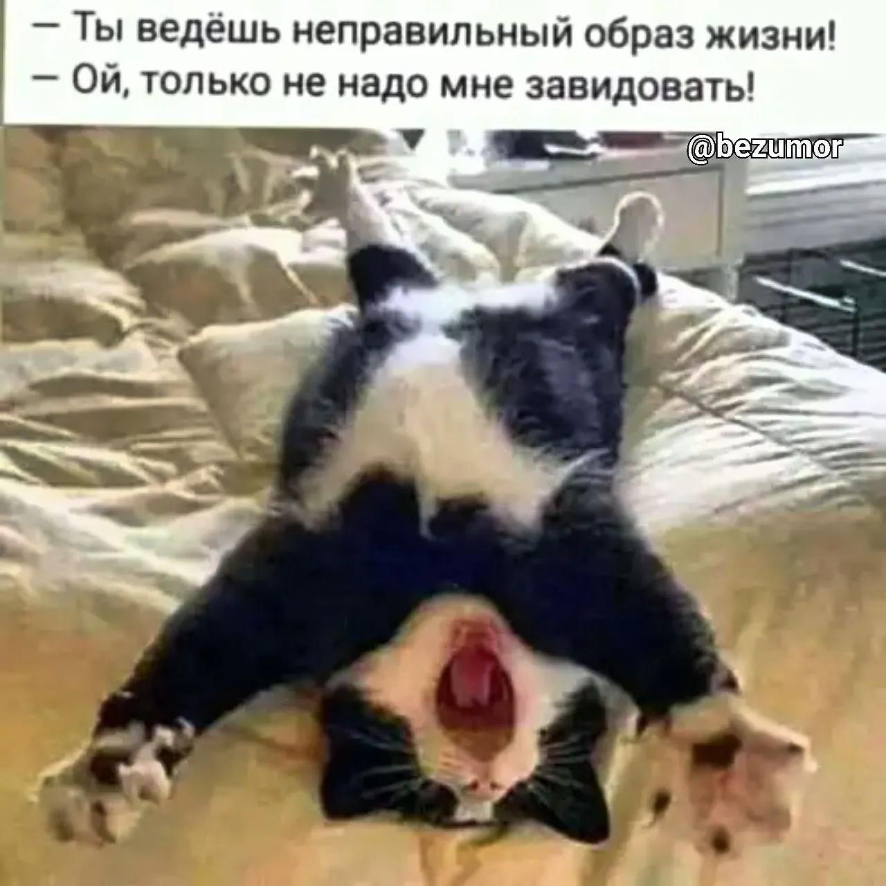 IMG-c90b328b3ba26634d7f5724285102536-V.webp