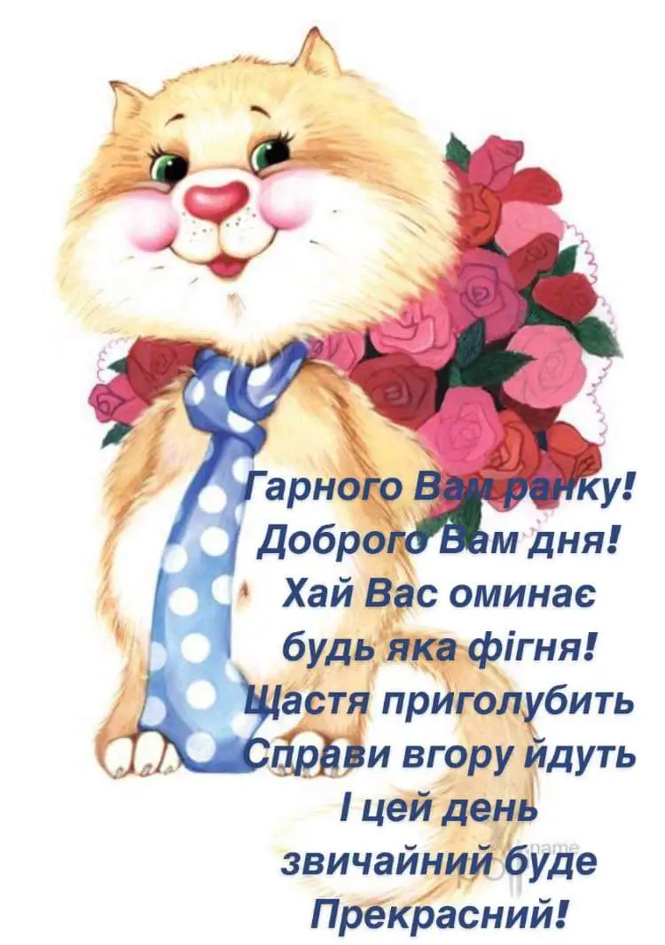 IMG-c962c01afd7272daae0e1fdb6fdc7bda-V.webp