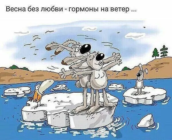 IMG-c96ca791ee76e22a5fd354145862b8fe-V.webp