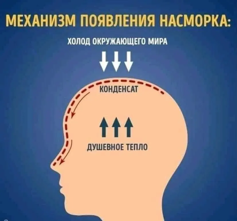 IMG-cad59fc13297c92fceda00c0d567a1a2-V.webp
