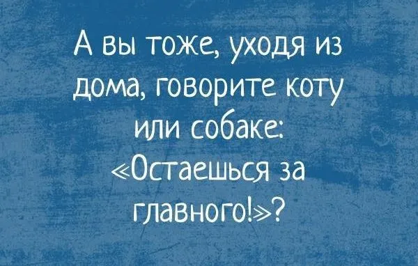 IMG-cafd4f5de13eb4a04d9cdac523a71201-V.jpg