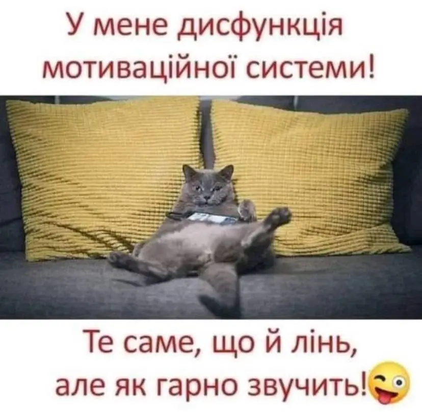 IMG-cb67e61fc3ca3ce0a1d852fe21dda2ce-V.webp