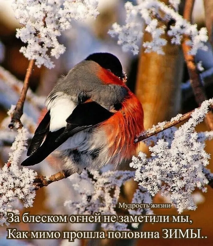 IMG-cbd54127f3a81088650765500dcddcb4-V.webp