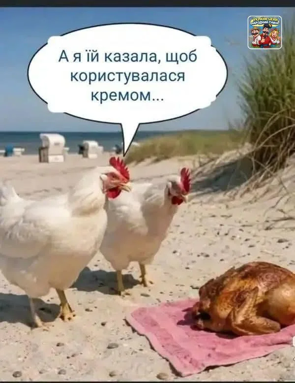IMG-cc52f8f0fac99396f11344b3a513f510-V.webp
