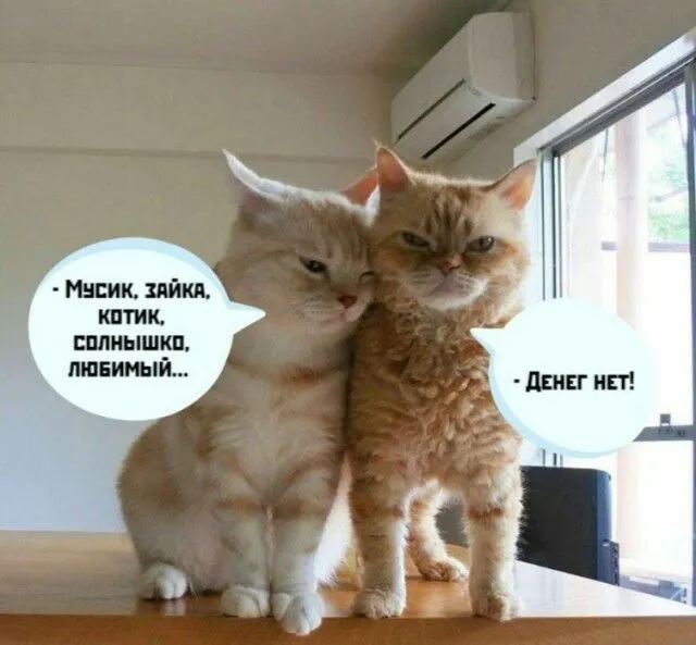 IMG-cd0e92abb31f5dee6b1b405ade549d1b-V.webp