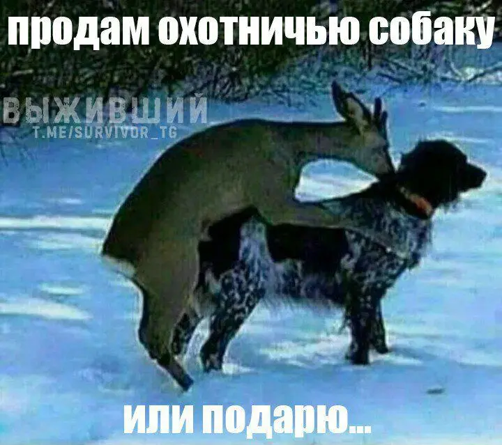 IMG-ce47b6147e5482868ae290a5d98db5b9-V.webp
