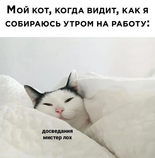 IMG-cf094c47d9145e515aa4bde57efe1f42-V.webp
