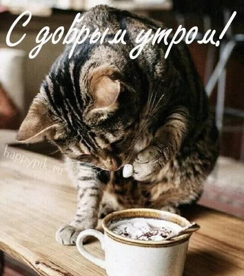 IMG-cf7f200e0285b3ac6ac3678d0b01c245-V.jpg