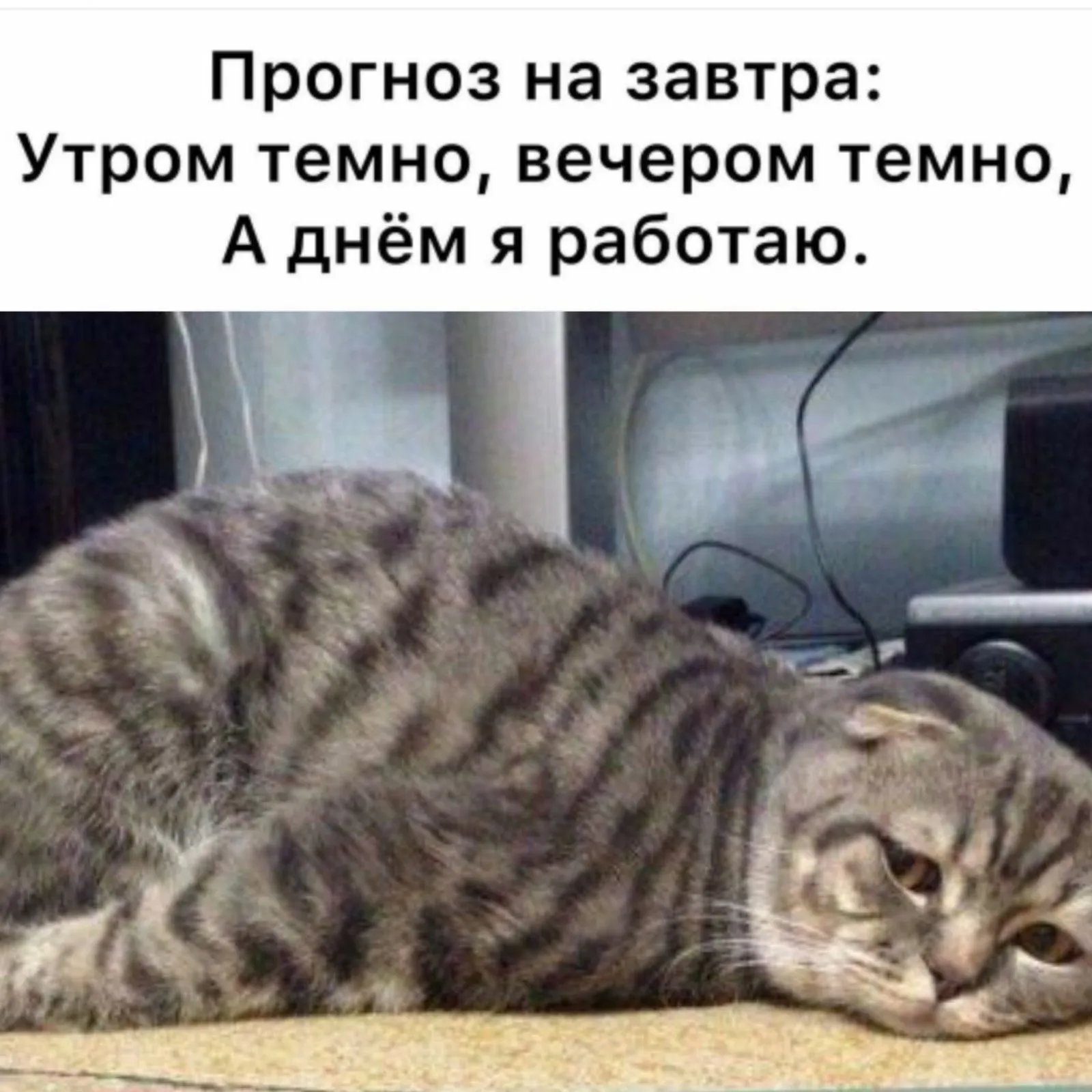 IMG-cf93fe0e616193a438a6f616ab8b9ebb-V.webp