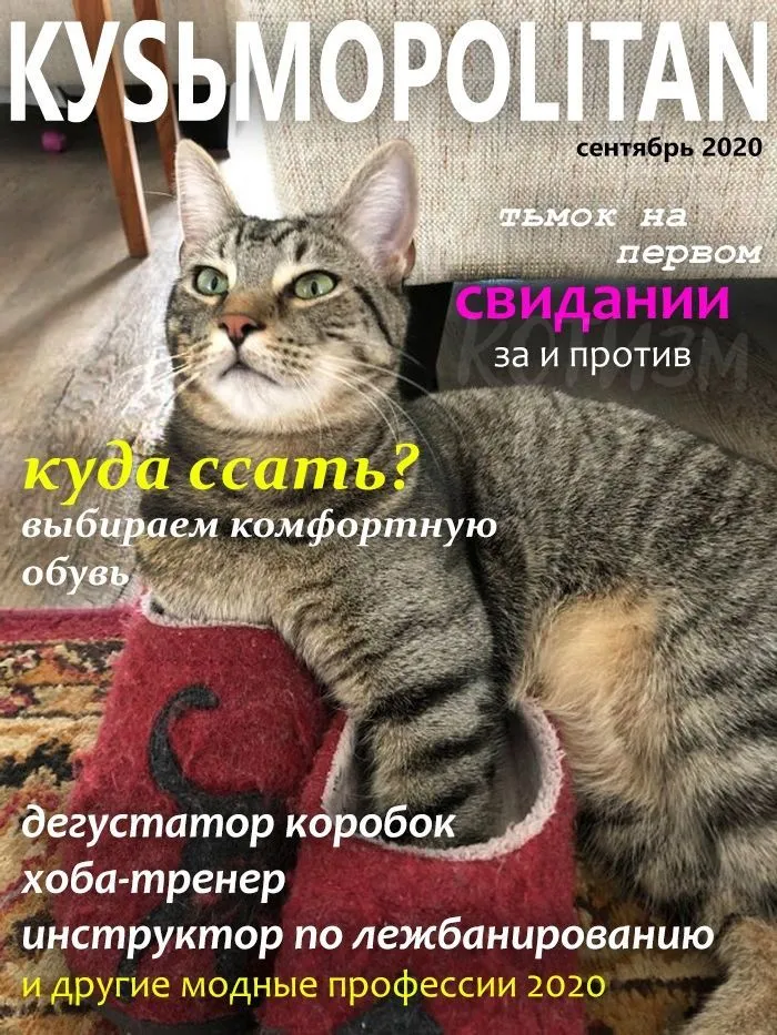 IMG-d0b0907339f1acc6f4a41cff132e8c93-V.jpg