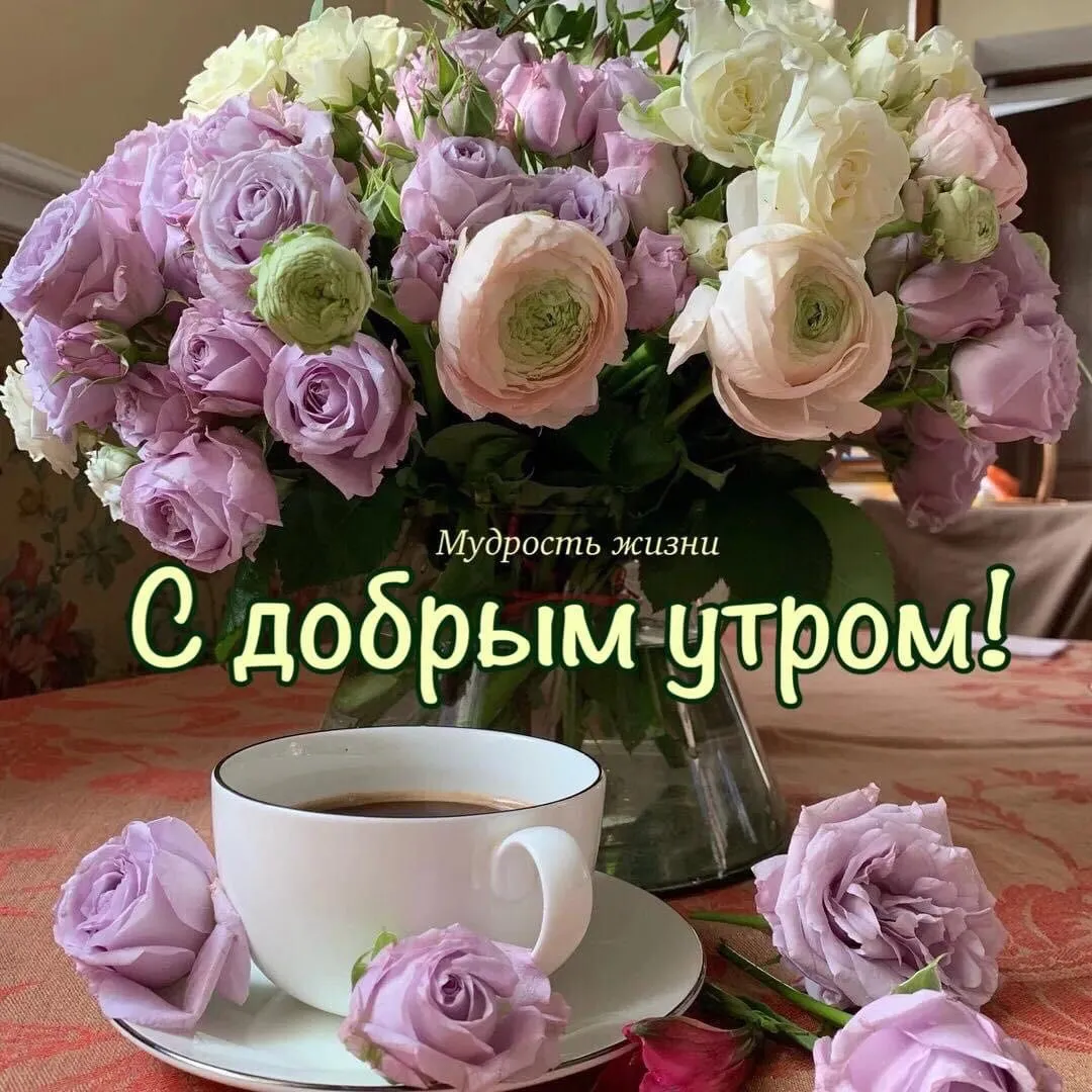 IMG-d168c743e5c70c32b7939b499edc76fb-V.webp