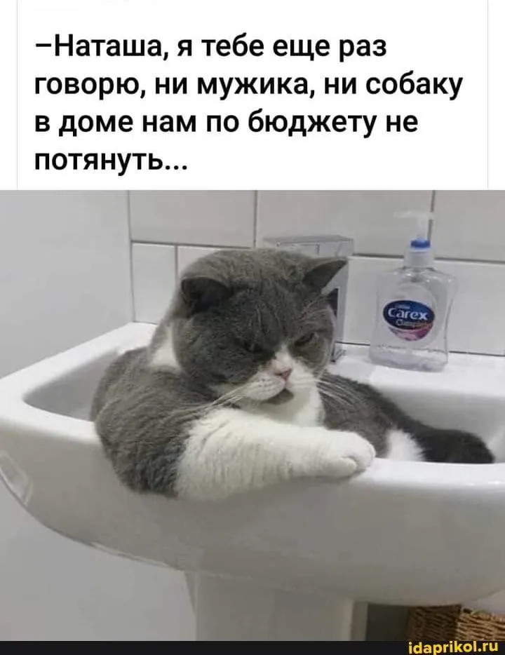IMG-d16e2a82372e83f37863503e9b6c7873-V.webp