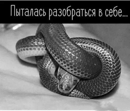 IMG-d1aa3d2139ea4ddbc788f8a3fb5c712d-V.webp