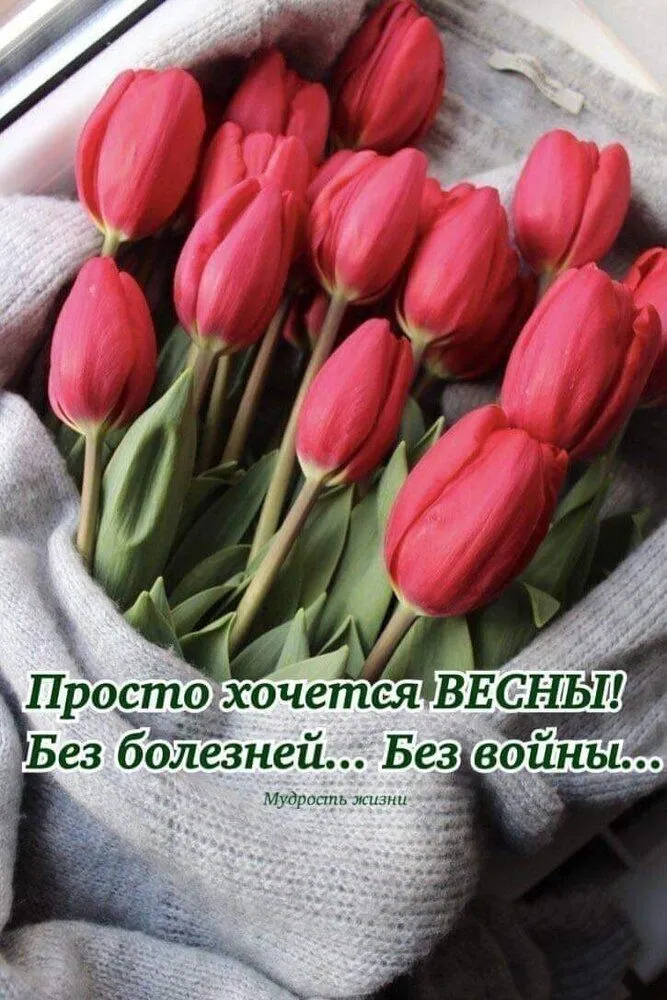 IMG-d1aad86296dd260085e70278c4a60a85-V.webp