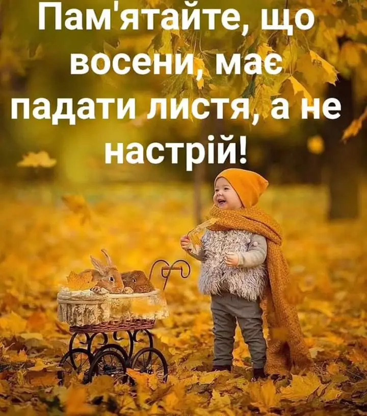 IMG-d1c3a6d030c1b12f87cb055101c098a6-V.webp