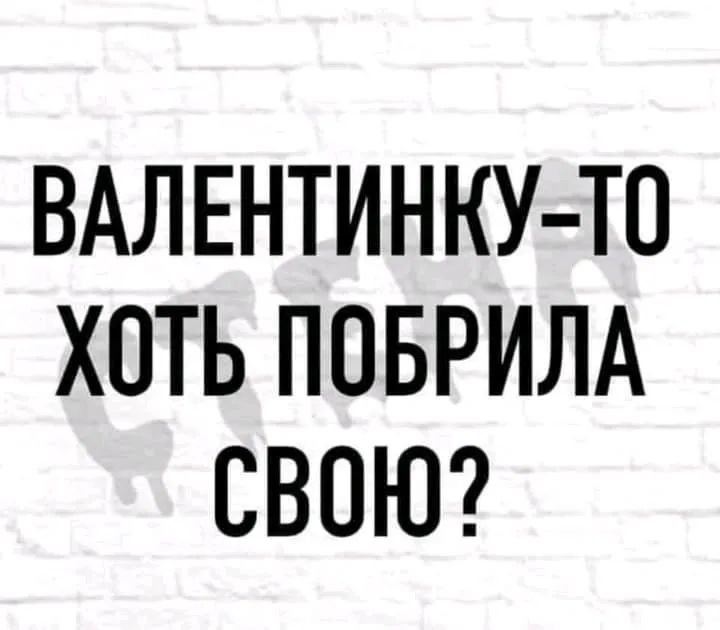 IMG-d24e1dd2146d3f8b7156652af433dcd7-V.jpg