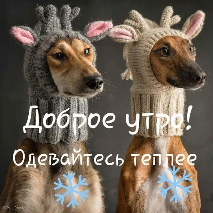 IMG-d2d998859caa469220907d3e76693978-V.jpg