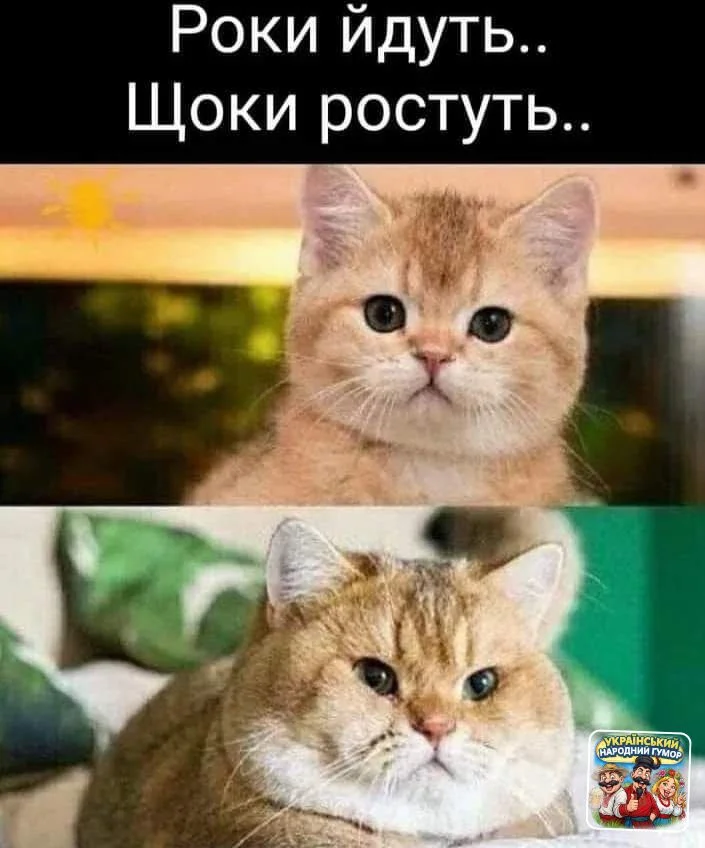 IMG-d3083c6e30f4e54a574697c7d451d71a-V.webp