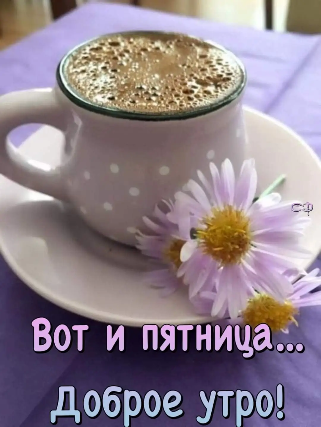 IMG-d37080f4f9929a791824040e82e32646-V.webp