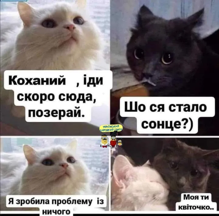 IMG-d3866b081d77910aae4d4e3332377dd9-V.webp