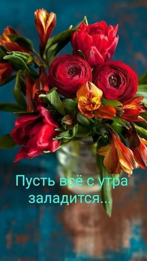 IMG-d410250b546dd6f96cefa150d8b34225-V.webp