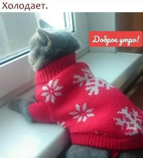 IMG-d4669b94500eab9cca5d4f6397ba0c5d-V.webp