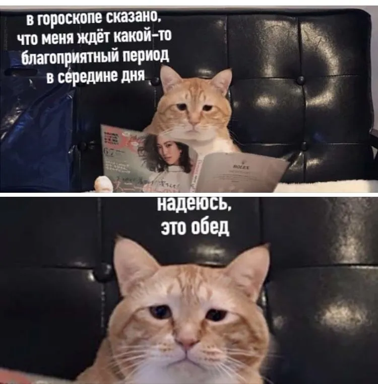 IMG-d74e111e5740a92c29a8dd1029212bb2-V.webp