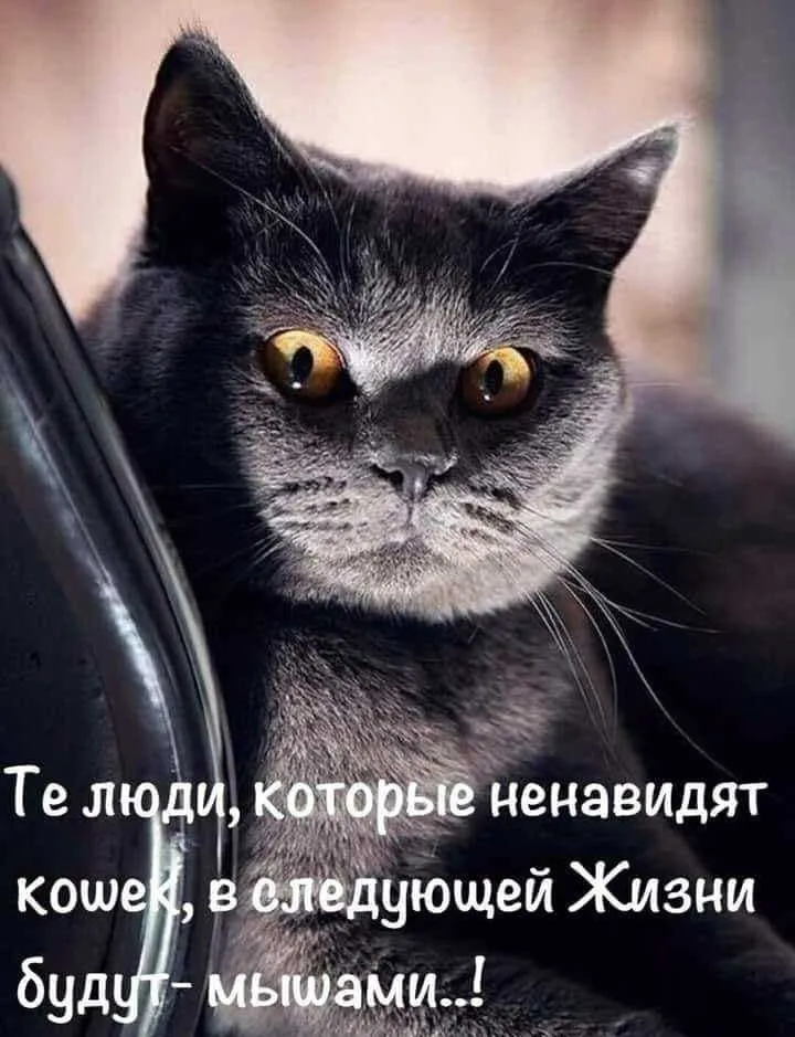 IMG-d86c81a13027bb69fa48f0cff2dbcd2b-V.webp