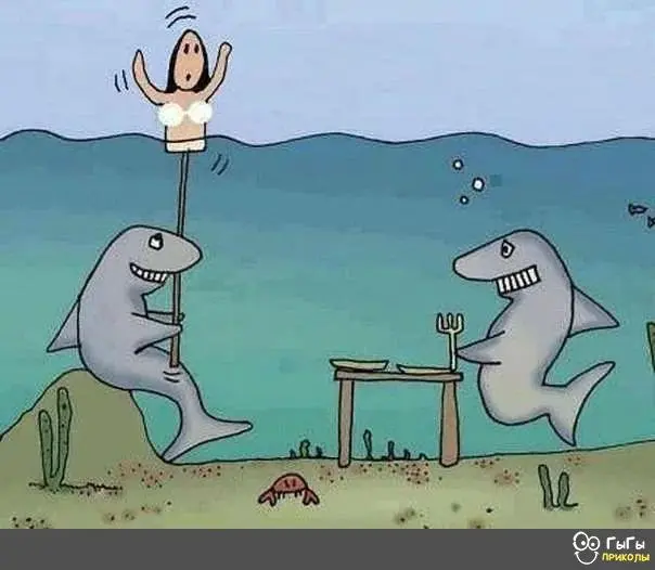 IMG-d8e34363630c408f146b65302a0e10ac-V.webp