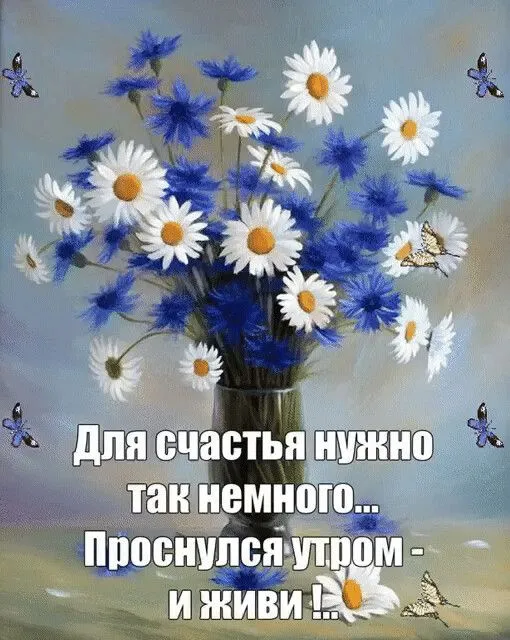 IMG-d95e72b08abe8a1b7e439f7bd39d96e5-V.webp