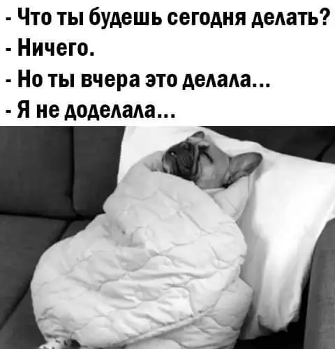 IMG-d987cc77352d81ffc4f894e36c26768a-V.webp