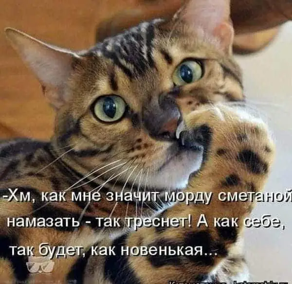 IMG-da0c9ab98831af2ba86032f67b74d242-V.webp