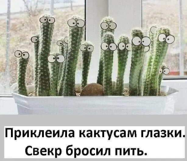 IMG-da4be4704944f76e957c1b531d85d420-V.webp